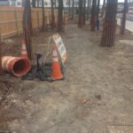 2024-01-23 15.17.12 copy