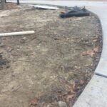 2024-01-23 15.18.08 copy