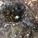 2024-04-23 14.13.10 copy