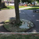 Bartlett 2022-05-21 15.47.58 copy