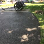 Bartlett 2022-05-21 15.48.19 copy