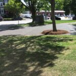 Bartlett 2022-05-23 15.12.29 copy