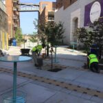 Bijou Park 2022-06-07 08.09.02 copy 2