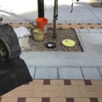 Bijou Park 2022-06-07 08.09.15 copy 2