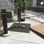 Bijou Park 2022-06-07 09.47.26 copy 2