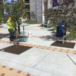 Bijou Park 2022-06-07 09.47.31 copy 2