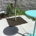 Bijou Park 2022-06-07 09.47.52 copy 2