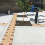 Bijou Park 2022-06-07 09.48.04 copy 3