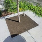 Bijou Park image0 copy