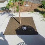 Bijou Park image2 copy