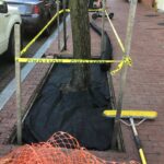 Lansburgh 2022-04-11 13.37.02 copy