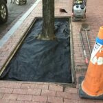 Lansburgh 2022-04-11 13.37.18 copy