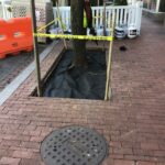 Lansburgh 2022-04-11 13.37.38 copy