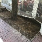 Lansburgh 2022-04-11 13.37.58 copy