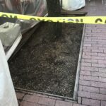 Lansburgh 2022-04-11 13.38.35 copy