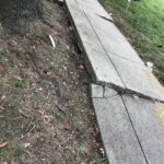 Learn 2021-10-04 11.55.25 copy