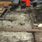 Lou Lou 2023-10-17 12.52.14 copy