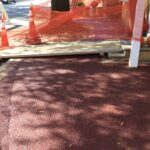 Lou Lou 2023-10-19 12.17.50 copy