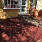 Lou Lou 2023-10-19 12.18.08 copy