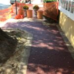 Lou Lou 2023-10-19 12.18.16 copy