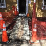 Lou Lou 2023-10-19 12.18.25 copy