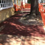 Lou Lou 2023-10-19 12.18.57 copy