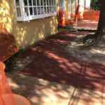 Lou Lou 2023-10-19 12.18.59 copy