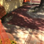 Lou Lou 2023-10-19 12.19.06 copy