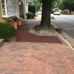 Lou Lou 2023-10-20 09.51.44 copy