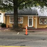 Lou Lou 2023-10-20 09.52.10 copy