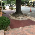 Lou Lou Lou Lou 2023-10-20 09.51.54 copy