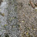 Matthews 2021-10-27 07.31.39 copy