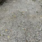 Matthews 2021-10-27 07.32.23 copy