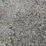 Matthews 2021-10-27 07.32.31 copy