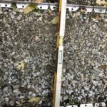 Matthews 2021-10-27 07.58.25 copy