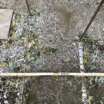 Matthews 2021-10-27 07.59.34 copy