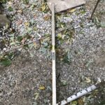 Matthews 2021-10-27 08.00.00 copy