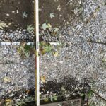 Matthews 2021-10-27 08.02.49 copy