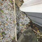 Matthews 2021-10-27 08.06.49 copy