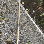 Matthews 2021-10-27 08.07.11 copy