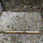 Matthews 2021-10-27 08.09.48 copy