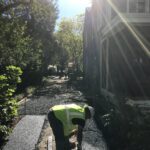 Matthews 2021-10-27 10.54.18 copy