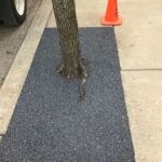 Pittsburg PA 2022-04-13 18.44.54 copy