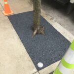 Pittsburg PA 2022-04-13 18.45.09 copy