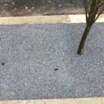 Pittsburg PA 2022-04-14 10.40.41 copy