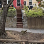 Screen Shot 2024-10-25 at 10.14.44 AM