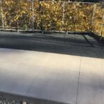 South Pond 2021-11-19 15.10.49 copy