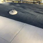 South Pond 2021-11-19 15.10.55 copy