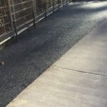 South Pond 2021-11-19 15.11.27 copy