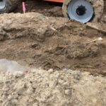 St Mary’s 2022-03-30 09.47.22 copy 2